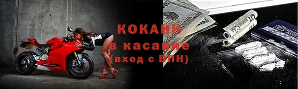 индика Пролетарск