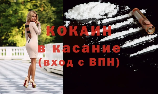 индика Пролетарск