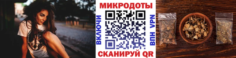 Галлюциногенные грибы мицелий  Катайск 
